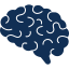 brain icon